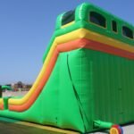 20′ Dual Lane Tropical Slide S041