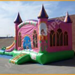 Enchanted Wet/Dry Bouncer and Slide Combo C115