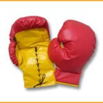 Inflatable Boxing Gloves A013