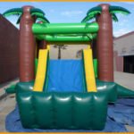 Inflatable Mini Tropical Bouncer Combo C080