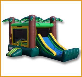 Inflatable Mini Tropical Bouncer Combo C080