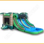 Inflatable Tropical Wet Dry Double Slide Combo C118