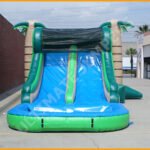 Inflatable Tropical Wet Dry Double Slide Combo C118