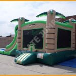 Inflatable Tropical Wet Dry Double Slide Combo C118