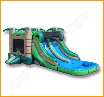 Inflatable Tropical Wet Dry Double Slide Combo C118