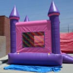 Pink and Purple Castle Module J115