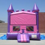 Pink and Purple Castle Module J115