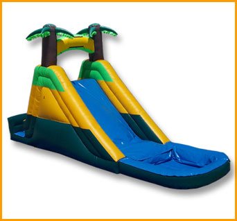 Tropical Water Slide W011