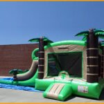 Wet/Dry Tropical Bouncer Slide Combo C091