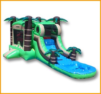Wet/Dry Tropical Bouncer Slide Combo C091