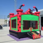 Ladybug House J180