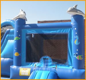 3 in 1 Inflatable Sea World Combo