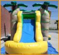 3 in 1 Wet and Dry Inflatable Jungle Combo