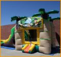 3 in 1 Wet and Dry Inflatable Jungle Combo