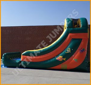 Inflatable 14' Wet and Dry Slide