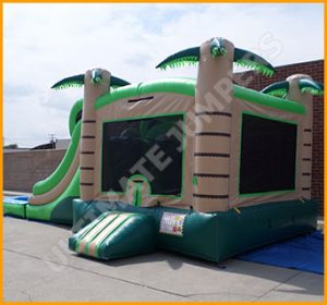 Inflatable Tropical Wet/Dry Double Slide Combo